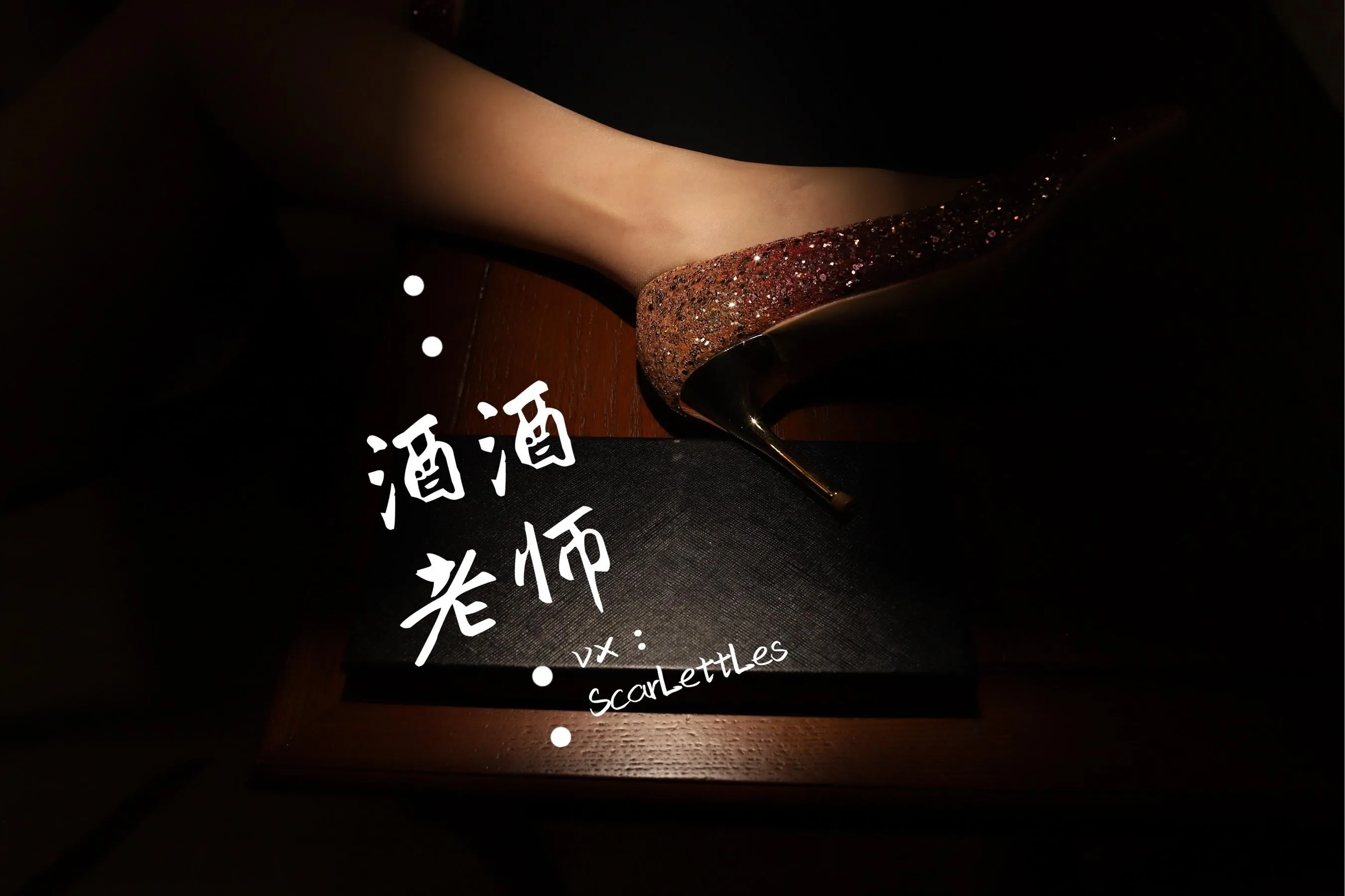 NO.023 酒酒老师 23《旗袍裙下的银河丝》 [51P]插图2